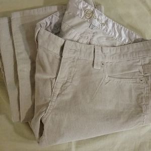 BRAND NEW BEBE Pants